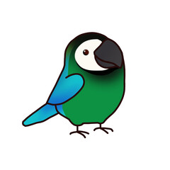 bird