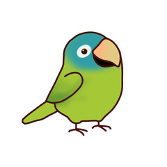 bird
