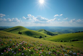 Fototapeta premium Picturesque Green Hills With Colorful Wildflowers Under a Bright Sunny Sky