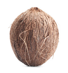 One whole coconut in shell isolated on white