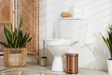 Ceramic toilet bowl, houseplant and necessities in restroom