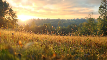 Golden Sunrise Meadow Landscape