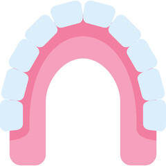 Maxilla Illustration ©  karyative