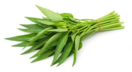 Fresh Green Water Spinach Bunch on White Background