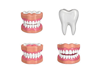 Types of Malocclusion – Educational Dental Diagram, Simplified Teeth Alignment