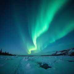 Naklejka premium Stunning northern lights illuminating a winter landscape at night.