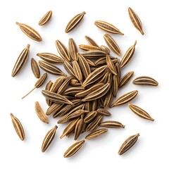 Caraway seeds isolated on white background