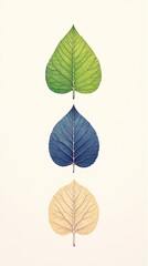 Obraz premium Three Colorful Leaves for Vertical, Minimalist.