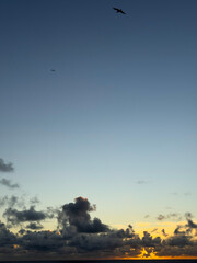 Back beach, New Plymouth, Taranaki, New Zealand