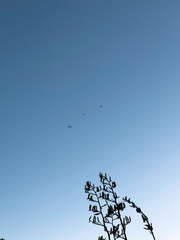 Back beach, New Plymouth, Taranaki, New Zealand