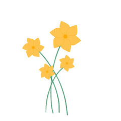 yellow daffodil flower