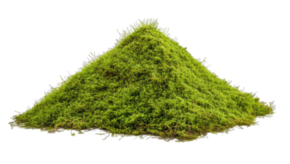 a mound of vibrant green moss showcasing its lush texture and na