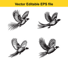 Obraz premium Vector Pheasant standing, running, and flying