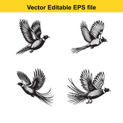 Obraz premium Vector Pheasant standing, running, and flying