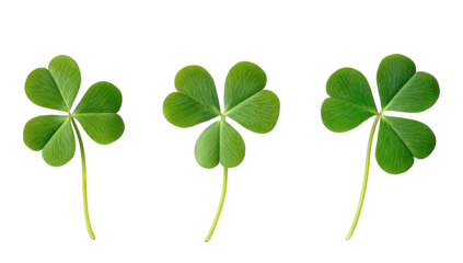 three vibrant green clover leaves arranged in a row against a wh