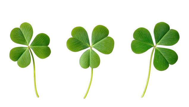 three vibrant green clover leaves arranged in a row against a wh