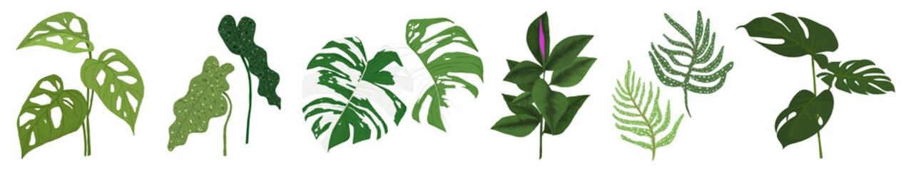 PNG Leaf vector, element set on transparent background