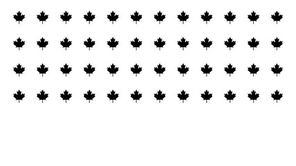 Icons of maple increasing from left to right, infographic background animation. Symbolizing Canada and Canadian identity. 4K pictogram motion graphic with blur and opacity animations - Powered by Adobe
