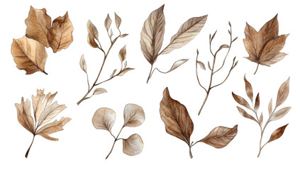Fototapeta premium various leaves and branches in warm earthy tones showcasing intr