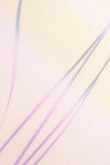 컬러풀한 라인 배경