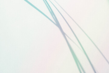 컬러풀한 라인 배경