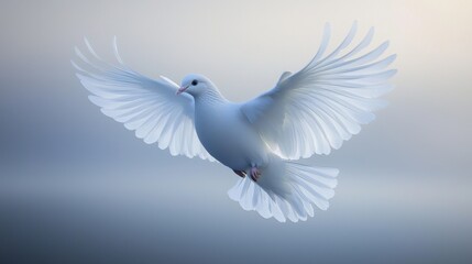 Obraz premium A majestic white dove gracefully glides through the air, showcasing its expansive wings against a soft, ethereal background.