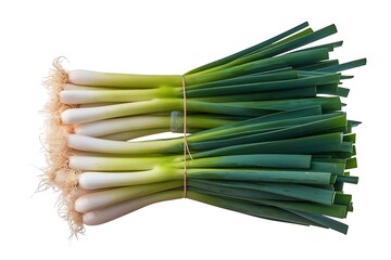 Fresh Green Onions Bunched Together on an Abstract Background