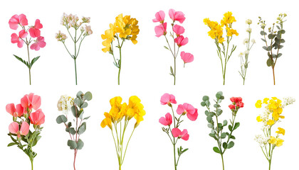 Spring Flowers on Transparent Background. Pink, Yellow, Flower Branches