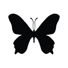 butterfly on white background