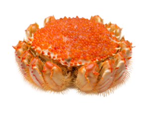 Red King Crab with Roe