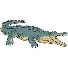 Wild crocodile illustration