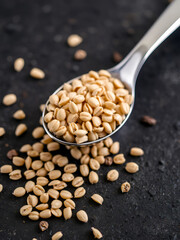 Buckwheat grains in a silver teaspoon with scattered grains on a dark textured background highlighting earthy tones and natural grain details.