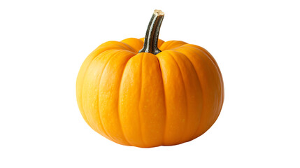 pumpkin png