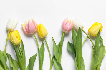 Beautiful tulip flowers on white background