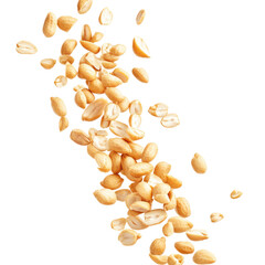 Fresh Shelled Peanuts on transparent background