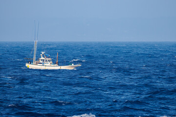 沖を進む漁船。
絶海の孤島である、三宅島周辺は非常に海鳥の数が多い。
東海汽船東京湾～伊豆諸島八丈島、太平洋航路の橘丸船上にて - 2025
