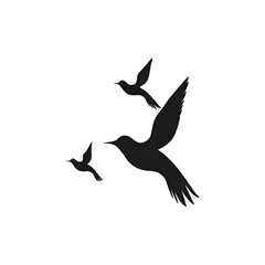 silhouette of a flying bird