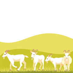 vector drawing white goats, farm animals and green grasss, rural landscape, hand drawn illustration