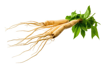 Isolated Ginseng Root on transparent background