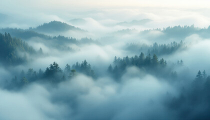 Obraz premium fog in the mountains