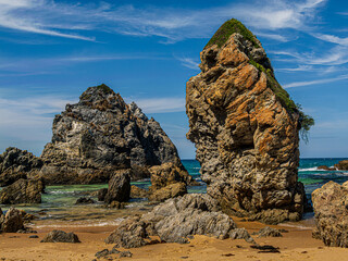 Rugged Sea Stacks Have Growth On Top