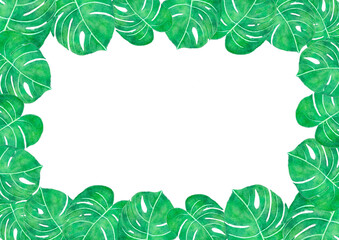 モンステラの葉のある白バックの背景フレーム