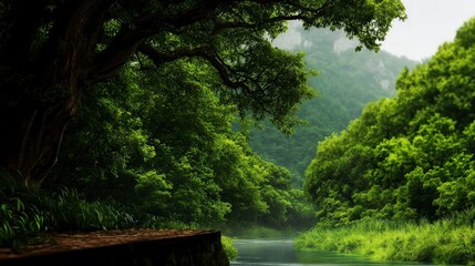 Tranquil Forest River  Lush Greenery  Scenic Landscape Photography