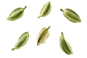 Green cardamom pods flying in the air, isolated background