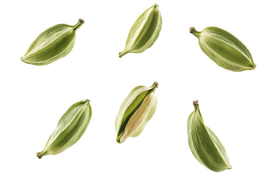 Green cardamom pods flying in the air, isolated background