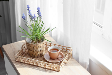 Tray with Muscari flowers and cup of tea on shelf near window in room