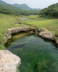 Tranquil Natural Pool in Lush Green Valley