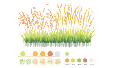 Fototapeta premium rice-related illustrations and smart farming technologies, focusing on grains, plants, cultivation, and innovative agricultural solutions for commercial use.