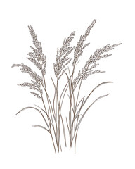 Fototapeta premium rice-related illustrations and smart farming technologies, focusing on grains, plants, cultivation, and innovative agricultural solutions for commercial use.