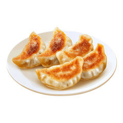 Delicious Golden Brown Dumplings  Plate